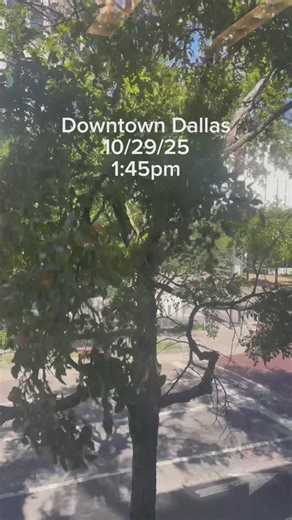 Strong winds blowing through Downtown Dallas