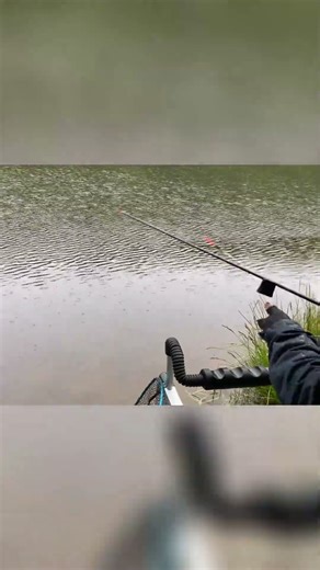 Rainy Day Fishing: Serene River Vibes You Need! #shorts