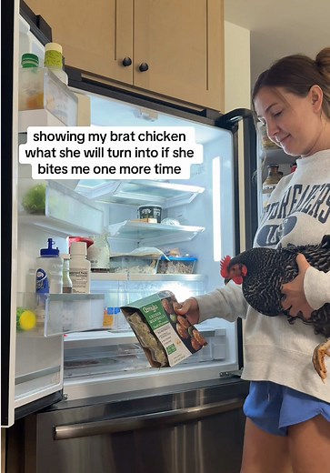 Funny Moments with My Bratty Chicken