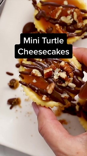 Mini Turtle Cheesecakes Recipe