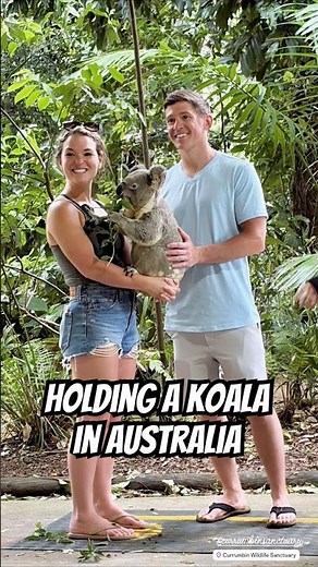 Holding a Koala in Australia 🐨✨ | Currumbin Wildlife Sanctuary Experience #travelshorts