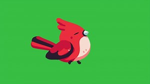 Download Cardinal Bird Jumping Looping Animation for free
