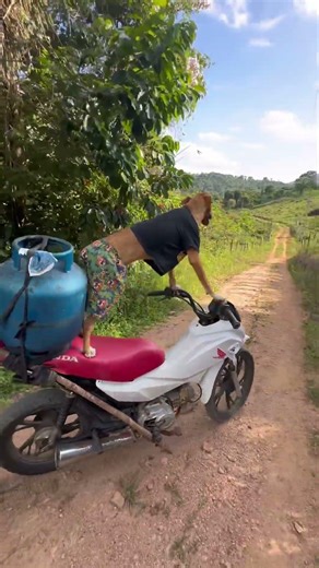 MANDA ,EXPLODE #mountainbike #meme #automobile