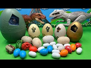 Dinosaur Egg Collection | Jurassic world Egg Mini Dino Egg Transformer Egg