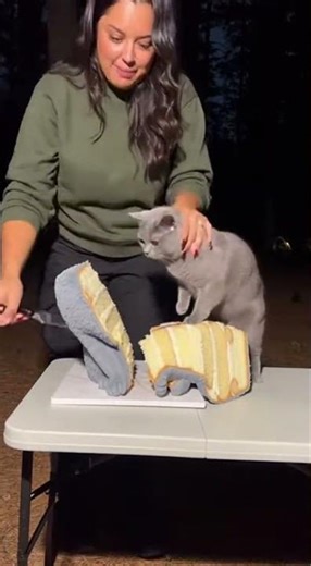 😱 Cat SLAPS Woman For Cutting His 'Twin' Cake in the Woods! 🎂💥🐱