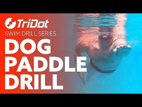 Dog Paddle Drill | TriDot Swim Drill Series