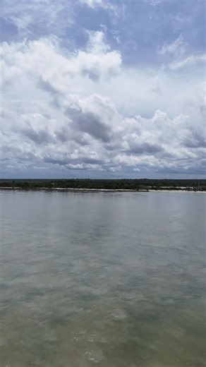 Getting high, getting low over the inlet. I was walking around in there a couple days ago and noticed a little bit of a change in the sandbars. Low tide at 4:19. 😎🕺 | First Light InSite