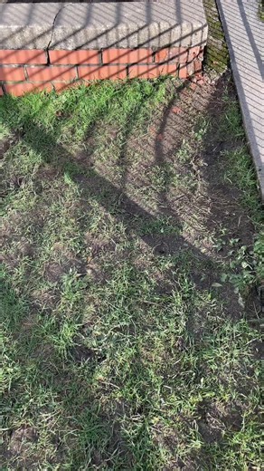 Mastering Parkour Techniques for Beginners