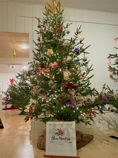 I’ve wanted to do a tree in the The Fraser’s “Festival of Trees” for a few years now and this year it finally happened! Dried flowers galore! 🌸🎄✨The festival begins tomorrow, December 5th and goes until Sunday, December 7th. If you’re in Tatamagouche this weekend, stop by and check it out. I promise it will get you in (or more in) the Christmas spirit! 🤍 | Oliver Meadows