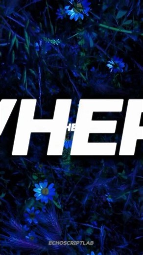 Rihanna - Where have you been lyrics | Aesthetic | Music | Lyrics | Whatsapp Status | Sped up |
