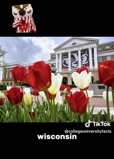 Exploring the University of Wisconsin Madison: What You Need to Know