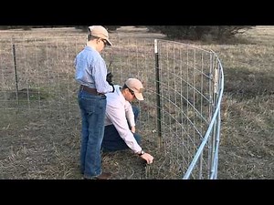 How to Set a Trip Line for a Hog Wild Trap