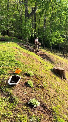 DIY Rail Tie Stairs & Creeping Phlox Planting | Yard Renovation
