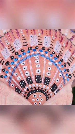 Sugaree Shells on TikTok