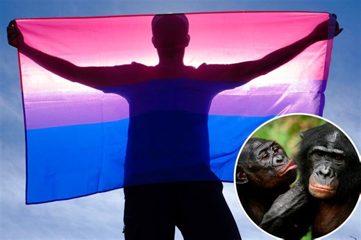 Bisexuality is a near-universal experience in primates — humans included, research shows