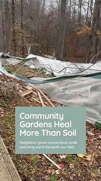 Community Gardens Unite Neighbors and Soil