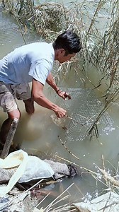 268K views · 2K reactions | fish trap sa ilog | W Bush Tv | Facebook