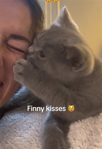 Finny's Adorable Kisses Compilation