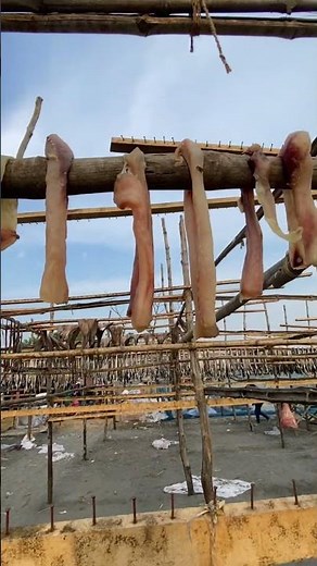 Fish Drying Under the Sun: Traditional Sun-Drying Process Revealed #fishdrying#sundrying#seafood
