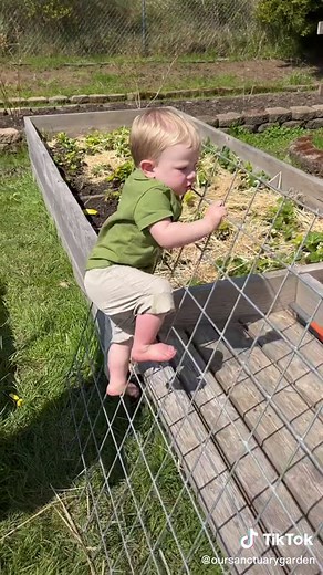 Jolene Wainwright on TikTok