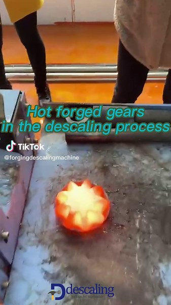 Let’s check our descaling machine working process for hot forged automotive car gears #forging #hotforgingmachine #hotforged #inductionsolutions #inductionforge #surfacecleaning #cleaningtiktok #rollingmill #lubricant #descalingmachine #steelforging #forgedinfire #automotive #shotblasting #rollformingmachine #hydraulicpress #metalforge #metalforming #madeinchina #steel