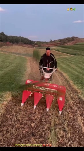 Top Exposing Agriculture Machine Testing by Clearing Long Grass Arrangement 🌿‼️