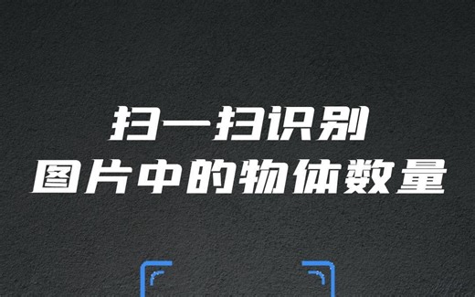 扫一扫识别图片中的物体数量#扫描计数 #拍照计数 #AI识别王