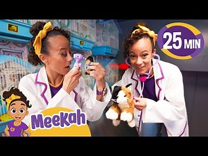 Play Pretend with Meekah the Animal Vet! | BEST OF MEEKAH! | Learn Colors and Science with Blippi! - Videos For Kids