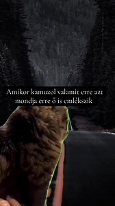 439K views · 13K reactions | Trollface on Reels | Facebook