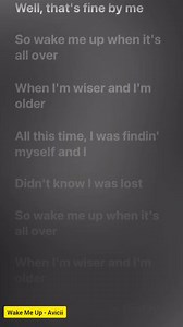 Wake Me Up - Avicii | Lyrics Stack