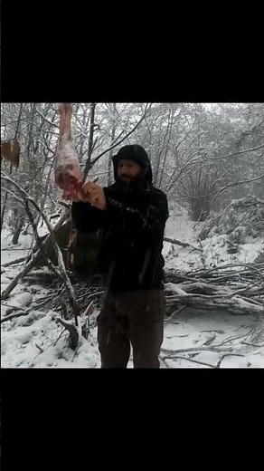 Bushcraft Camp in the Wild | 3 Days in a Snowstorm with My Dog