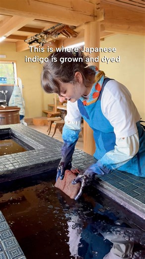 Kristina Minami | Japan Travel & Stories on Instagram: "When Eri and Seiichi moved to Awaji Island, a friend gave them a handful of indigo seeds. They planted them casually… and the plants exploded in the island’s soft soil. What began as an accident became one of Japan’s rare seed-to-dye indigo farms. You can join their workshop, learn the basics of natural dyeing, and even stay overnight at their inn, Onokoro Blue 1185, a tiny retreat filled with indigo art and handmade details. If you love cr