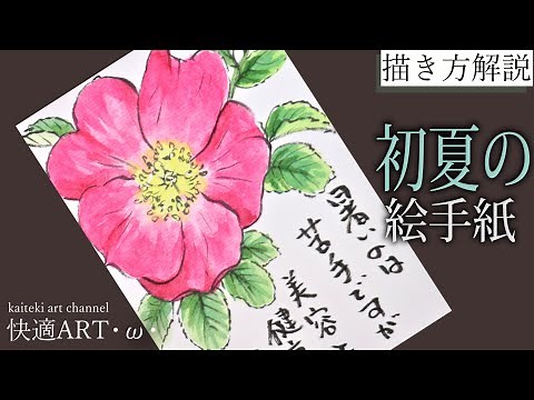 【解説】初夏の絵手紙『ハマナス』５月・６月・7月 初心者向け簡単な花の描き方解説