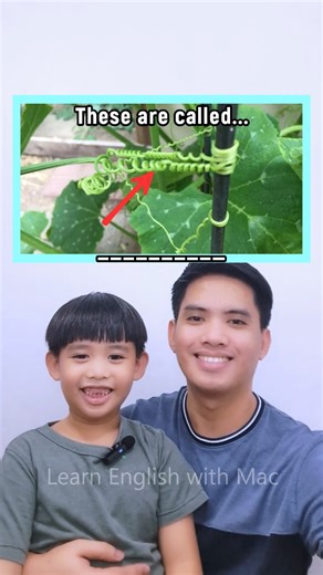 132K views · 3.7K reactions | What Do We Call These #English #englishlearning #englishlanguage #englishvocabulary #englishgrammar #englishonline #englishtips #IELTS #TOEFL #TOEIC #ingles #tefl #EFL #tesol #esl #learnenglish #vocabulary #englishvocabulary | Learn English with Mac | Facebook