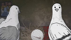 2.5K views · 59 reactions | Lessons from the Animals.: Never attack someone's offspring. Catch up on last night's episode on HBO GO and HBO NOW: itsh.bo/1QGS6Fp | Animals | Facebook