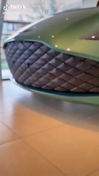 Toni_Vedan on TikTok