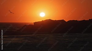 Seagull flying through the sky and landing on a rock as waves crash pushing it off the rocks during colorful sunset in California.