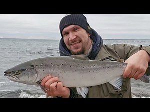 Tage wie dieser! 💥💥💥 MEFO Traum in HD🔥🎣