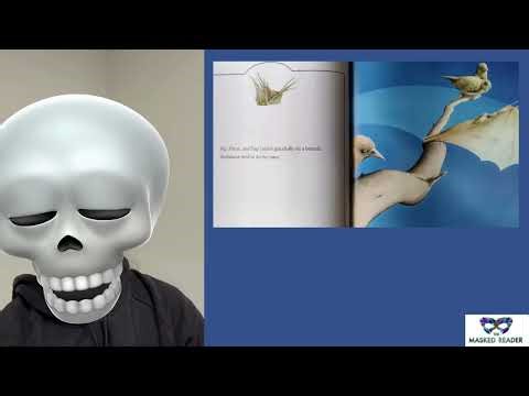 Masked Reader 26 Skull