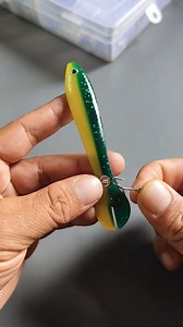 Soft lure hook placement for beginners | Indra Jaya Giri
