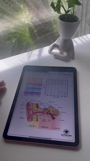 @slptestprep | Audiograms always confused me in grad school. Every time I though I understood them I was proven wrong. Here’s how I break them down to make them easier to understand. #slppraxis #slpgradstudent #slptobe #slp2be #speechgradstudent #slpgradschool #slpgradprograms #slpa #slppraxisexam #slppraxistestprep #slptestprep #praxis5331