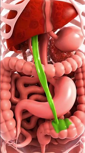 What Happens to Your Body When You Eat Avocado? 🥑😲 Health Benefits Explained! #health