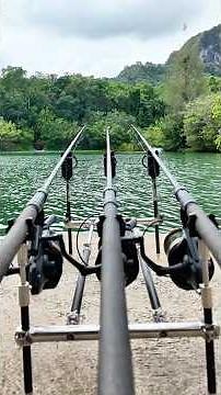 When a Savage Carp Runs 😱 You Need These To Hold Your Rod! #carpfishing #fishingequipment