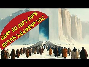 🛑አስፈሪውና ግዙፉ አጥር የተባው በሀብታምና በድሃ ሰዎች መሀካከል ያለውን ልዩነት ለማሳየት ነበር🛑In Time - Explained in Amaric-JFRA