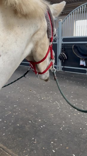 HRD Equine Services on Reels