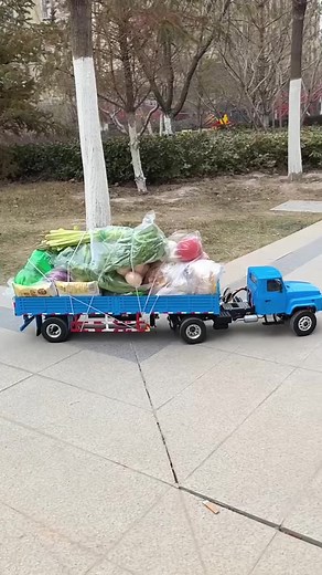 Delivering Fresh Vibes with a Mini Truck
