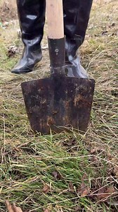 169K views · 254 reactions | Easy Planting Hack | Genius Inventions | Facebook