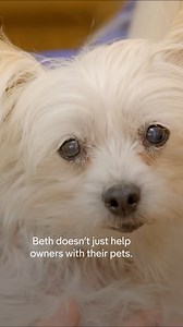 79K views · 1.1K reactions | Is your pet giving you career advice? #ThePetPsychic #cat #dog #cute #animals #pet #psychic #nature | The Pet Psychic | Facebook