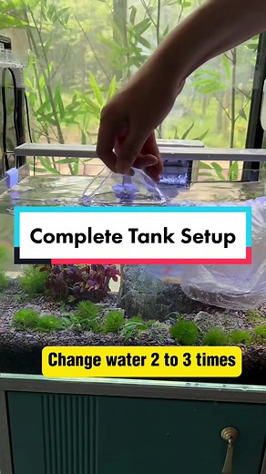 The guide for beginners on selecting a suitable fish tank and creating a landscape is here – affordable, attractive, and cost-effective. Fish enthusiasts will all fall in love with it #fishtank #aquariumsg #aquascaping #plantedtank #setuptank #ornamentalfish #singaporefishtank #yee #FishTankTips #fishlovers #learnontiktok #ultimateaqua #NDP2023