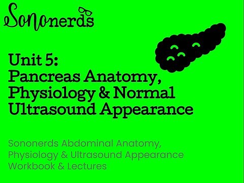 Pancreas :: Anatomy, Physiology & Ultrasound Appearance :: Abdominal Ultrasound with Sononerds